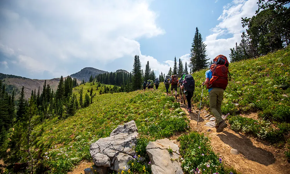 people hiking in the mountains